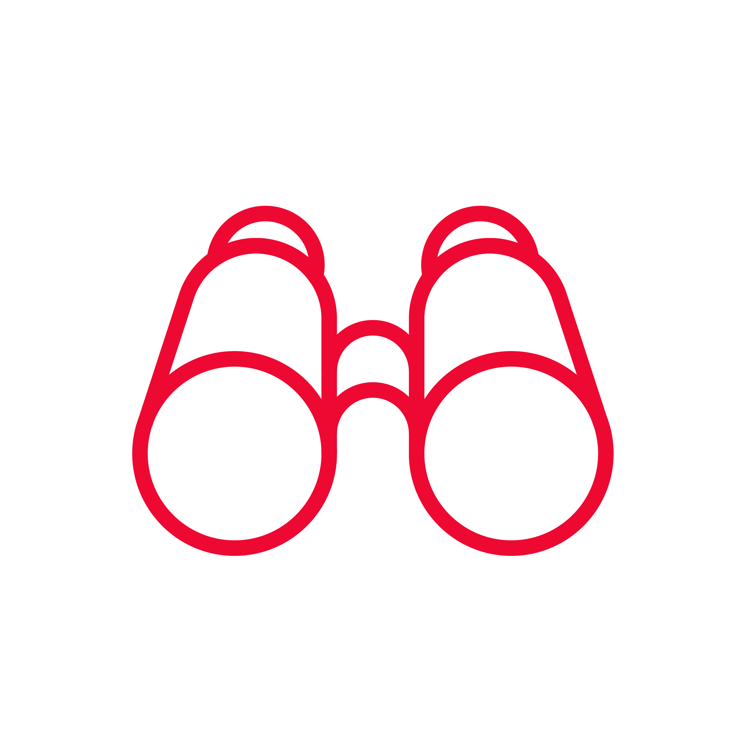 Icon Fernglas