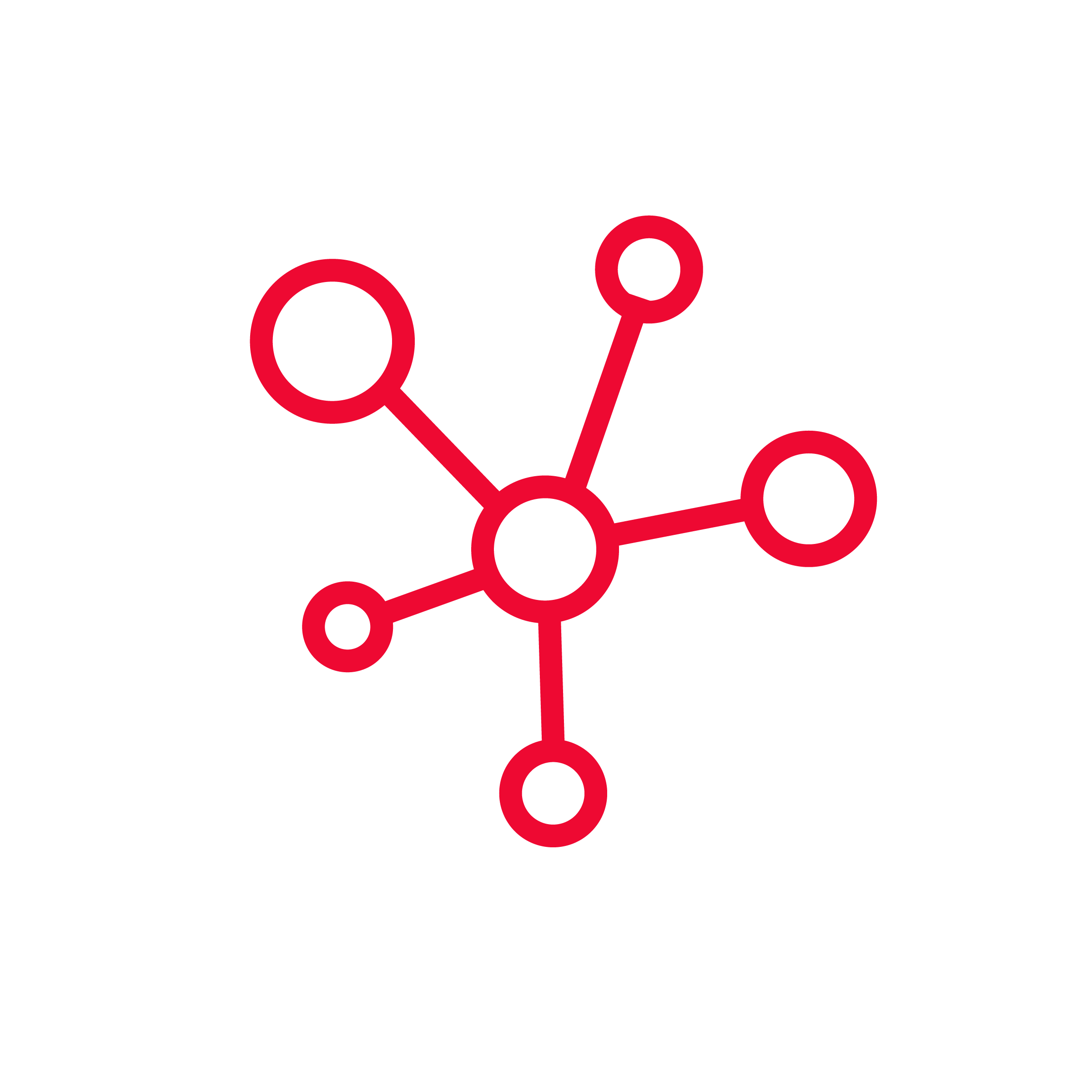 Icon Netzwerk